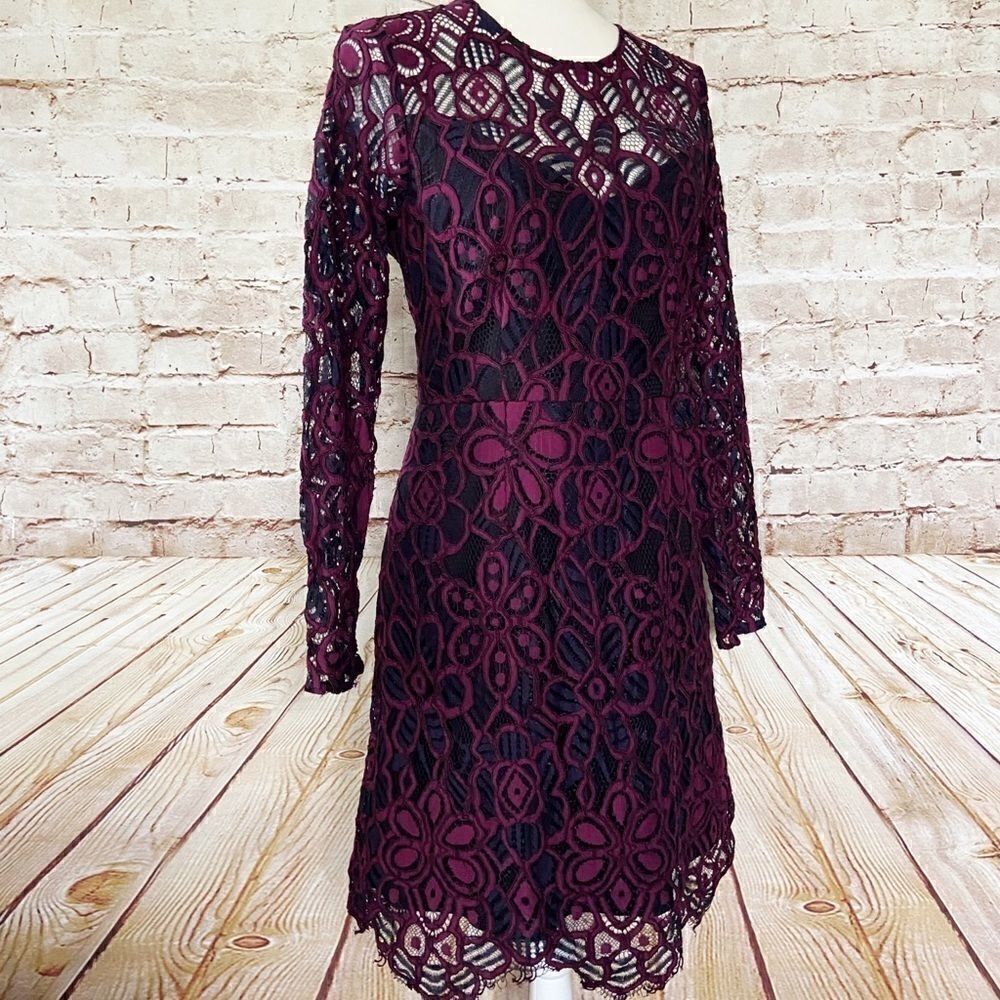 Hutch lace brocade dress  